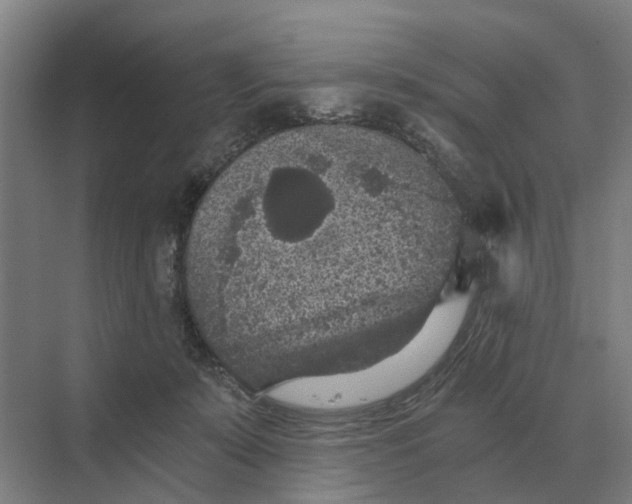 X0000069810319200606021512