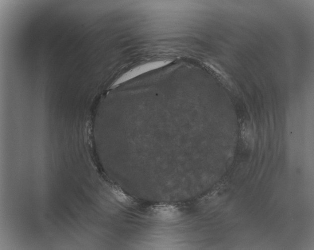 X0000069810322200606021512