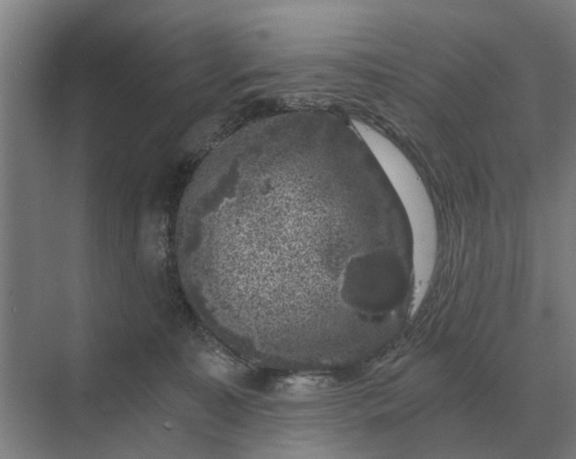 X0000069810323200606021512