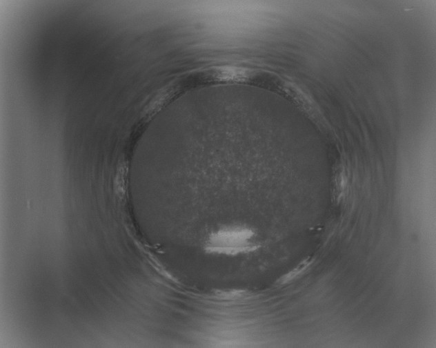 X0000069810325200606021512