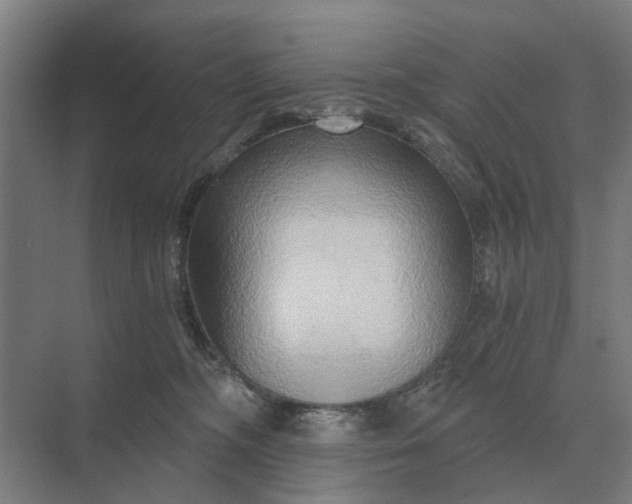 X0000069810326200606021512