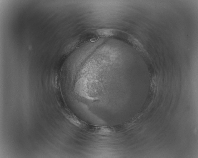 X0000069810330200606021512