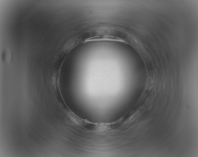 X0000069810333200606021511