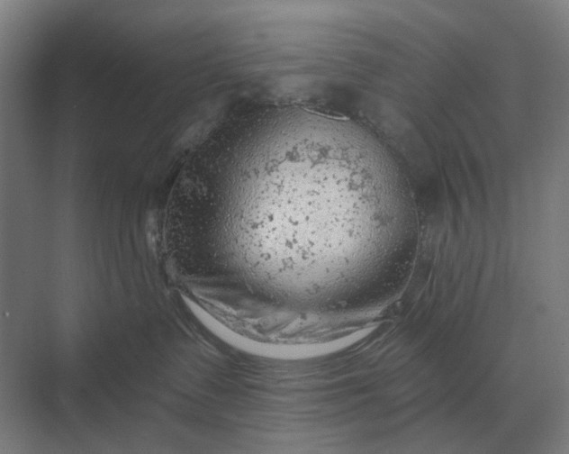 X0000069810335200606021511