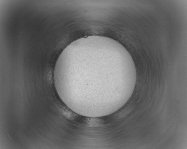 X0000069810336200606021511