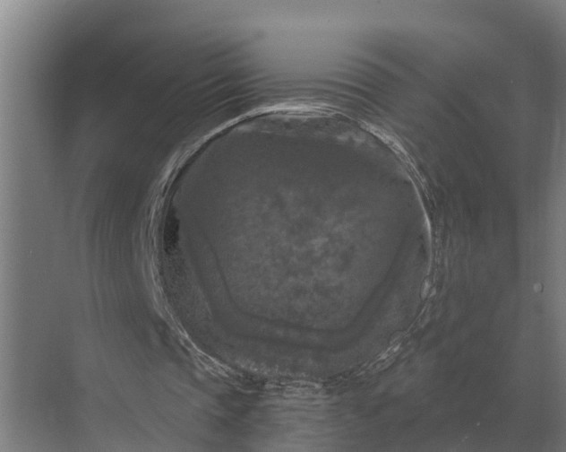 X0000069810337200606021511