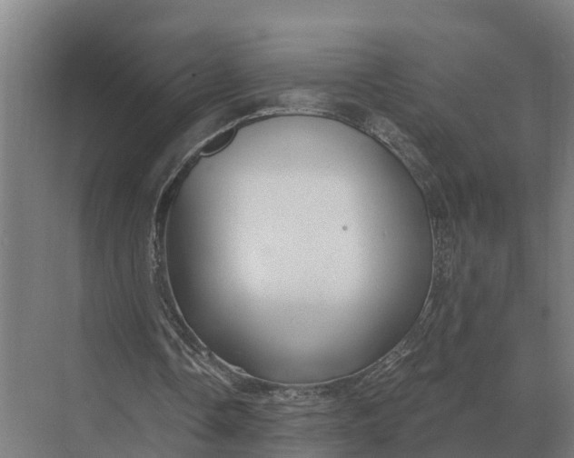 X0000069810338200606021511