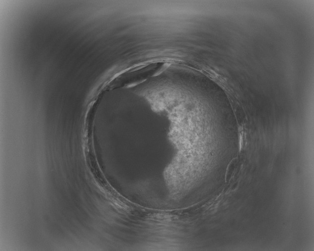 X0000069810339200606021511