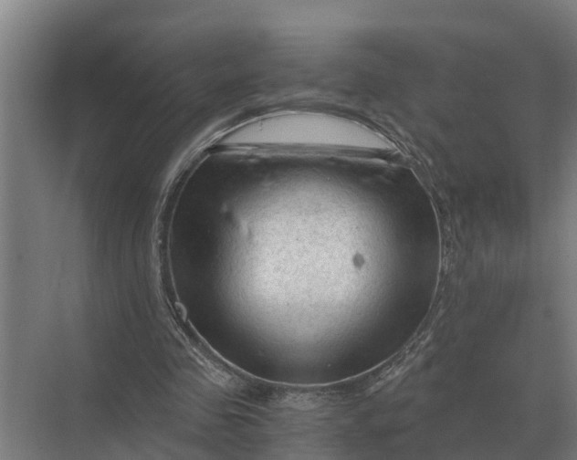 X0000069810341200606021511