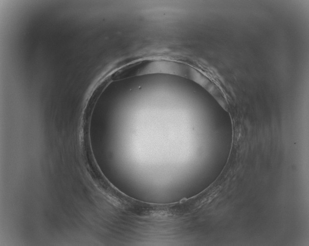 X0000069810344200606021511