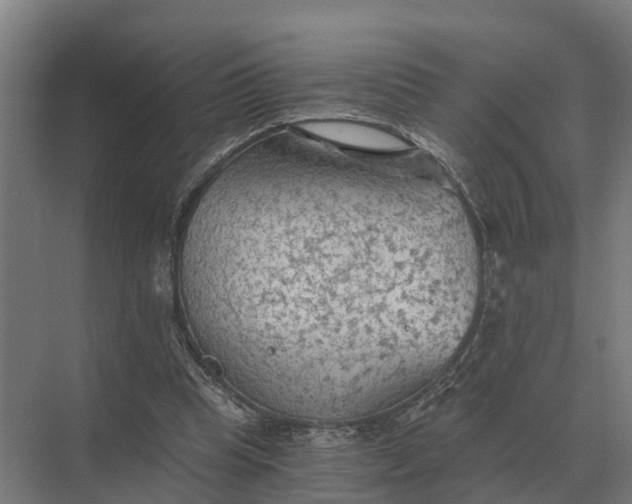 X0000069810345200606021511