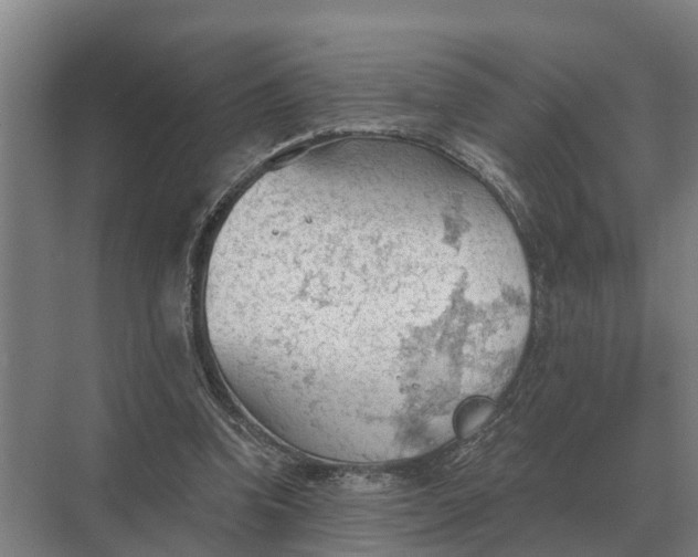 X0000069810346200606021511