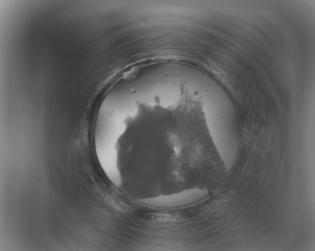 X0000069810347200606021511