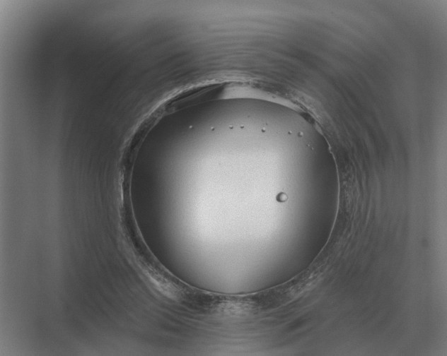 X0000069810350200606021511