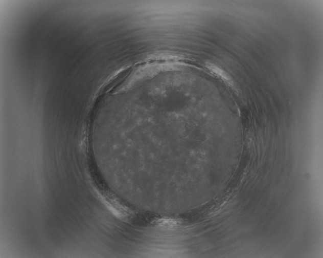 X0000069810352200606021511