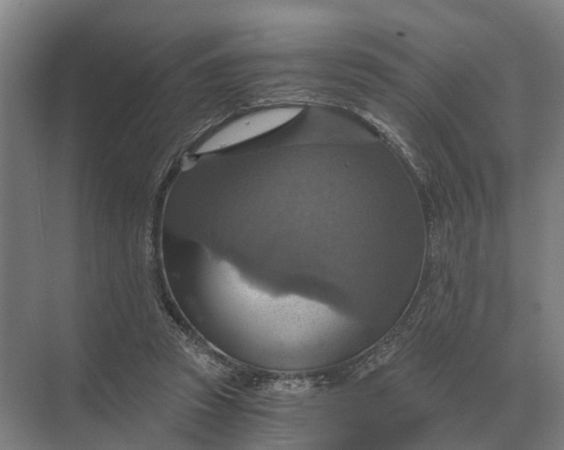 X0000069810353200606021511