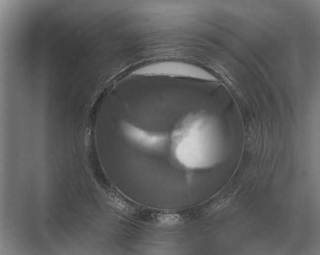 X0000069810355200606021511