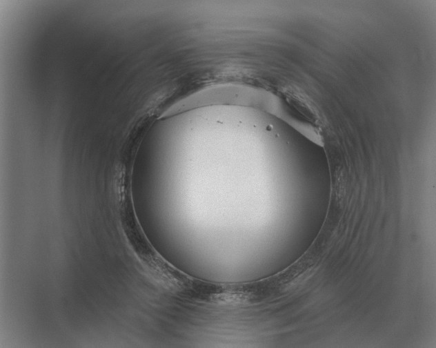 X0000069810356200606021511