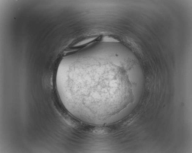 X0000069810358200606021511