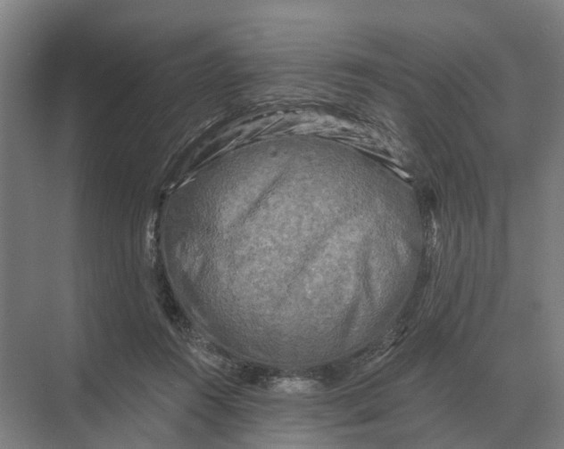 X0000069810360200606021511