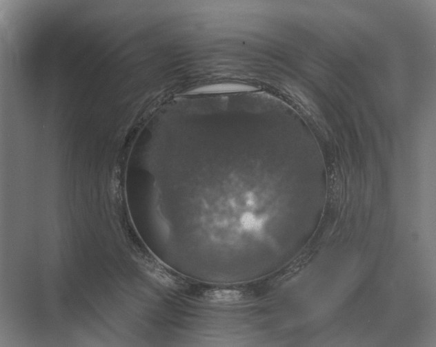 X0000069810361200606021511