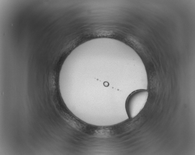 X0000069810362200606021511