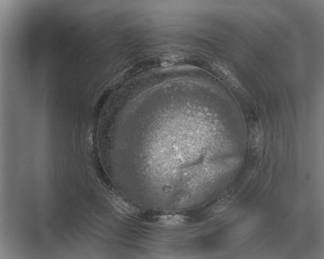 X0000069810363200606021511