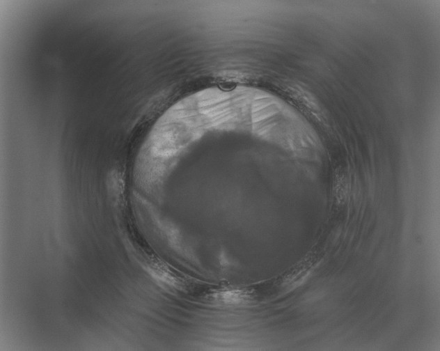 X0000069810365200606021511