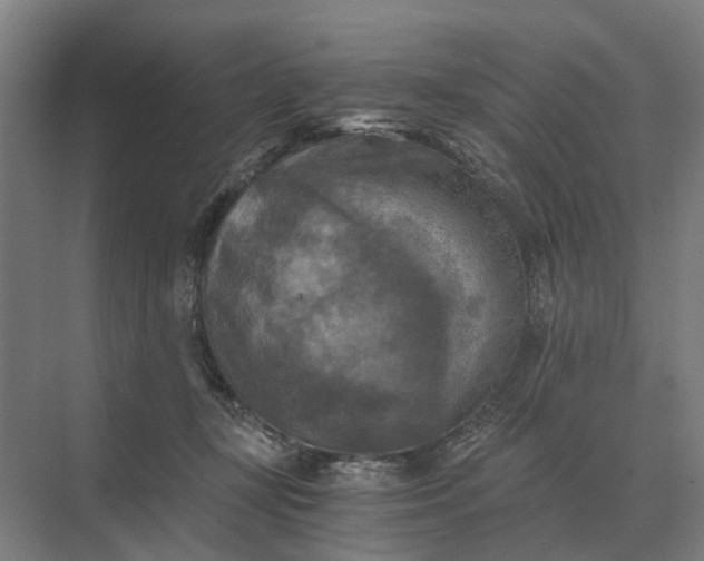 X0000069810367200606021511