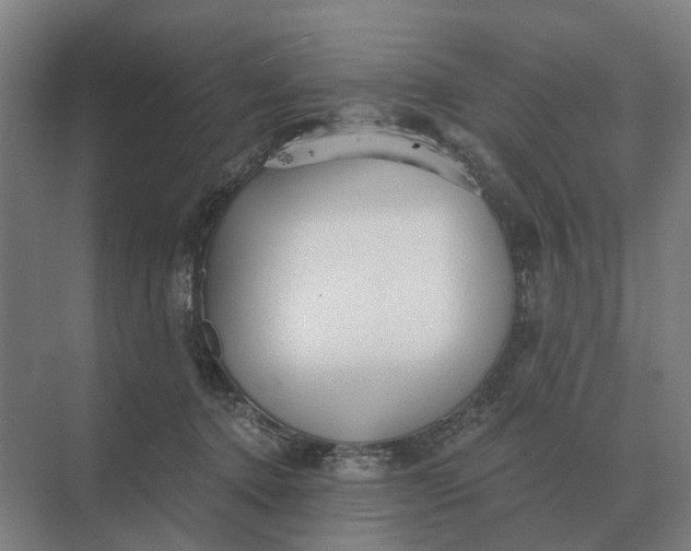 X0000069810368200606021511