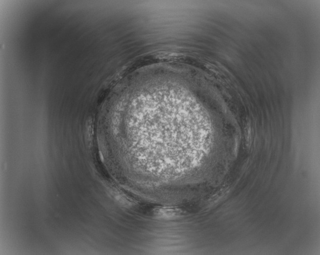 X0000069810372200606021511