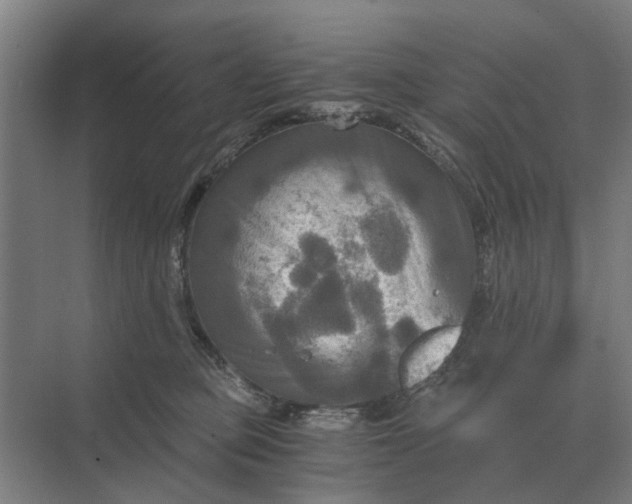 X0000069810373200606021511