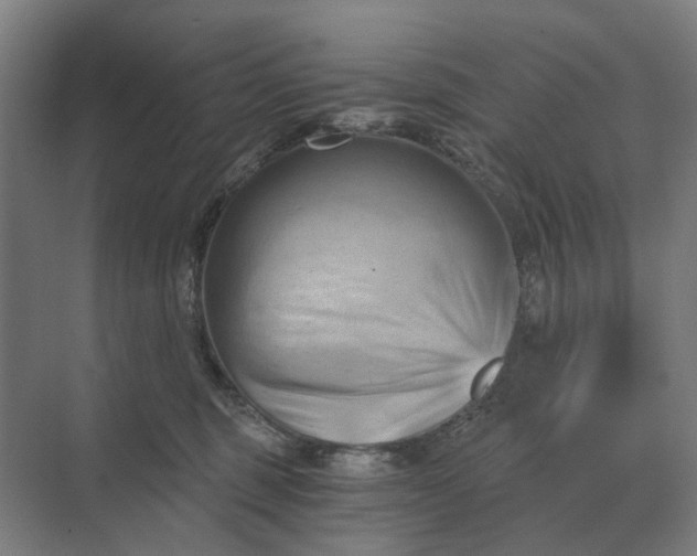 X0000069810375200606021511