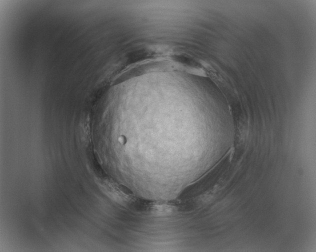 X0000069810376200606021511