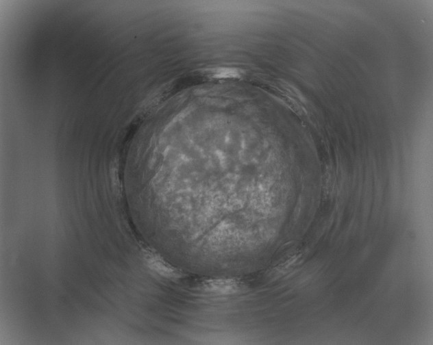 X0000069810377200606021511