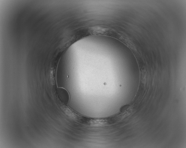 X0000069810378200606021511