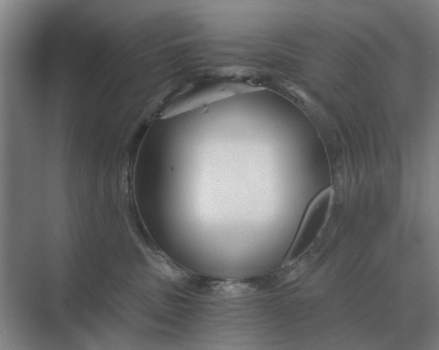 X0000069810379200606021511