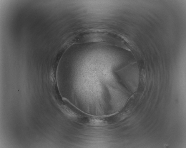 X0000069810380200606021511