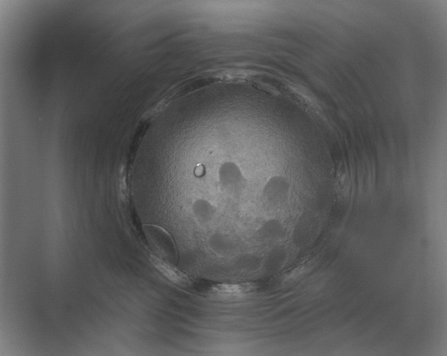 X0000069810381200606021511