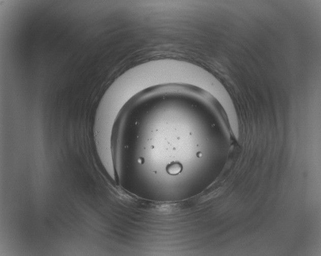 X0000069810382200606021511