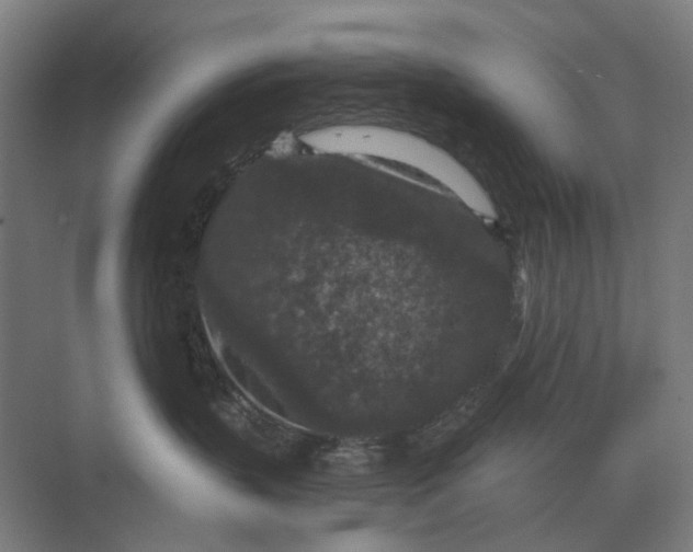 X0000069810383200606021511