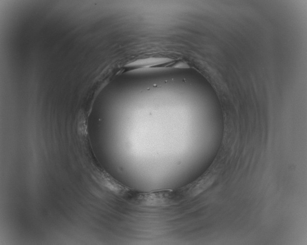 X0000069810384200606021511