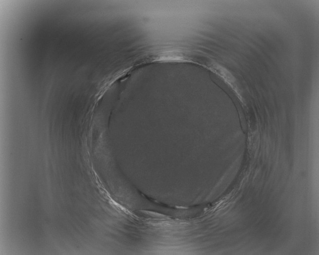 X0000069810385200606021511