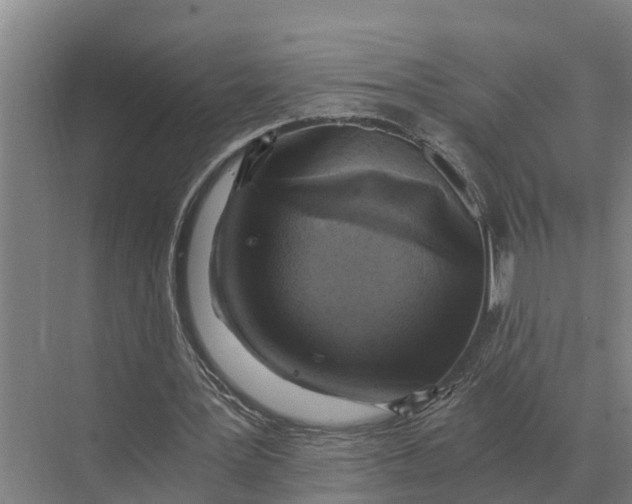 X0000069810387200606021511