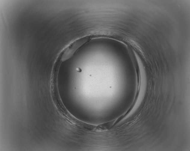 X0000069810388200606021511