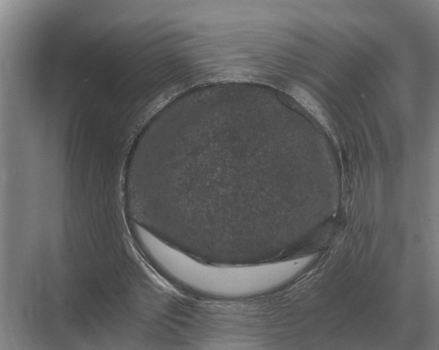 X0000069810389200606021511