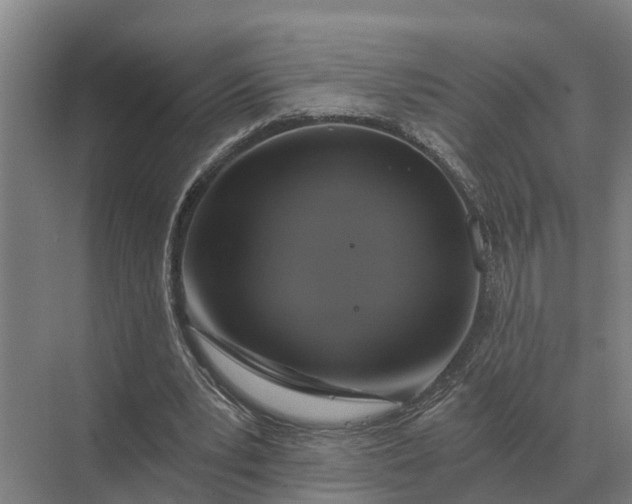 X0000069810391200606021511