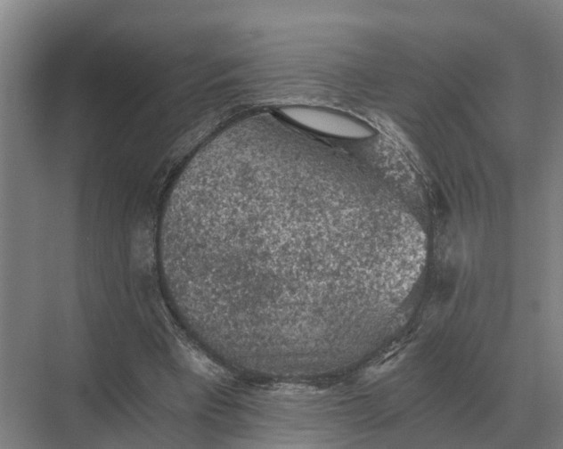 X0000069810393200606021510