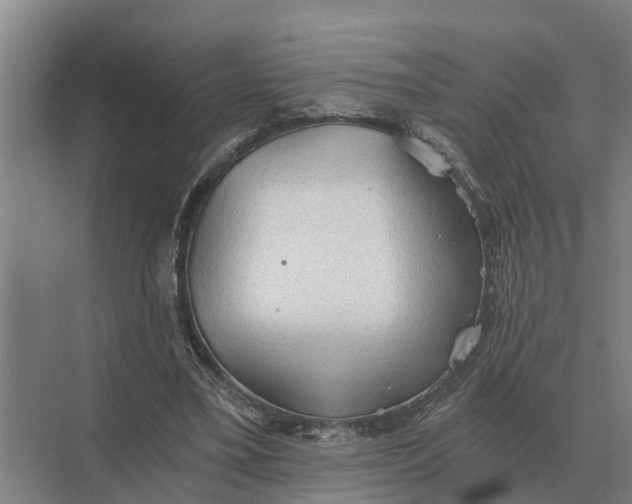 X0000069810395200606021510