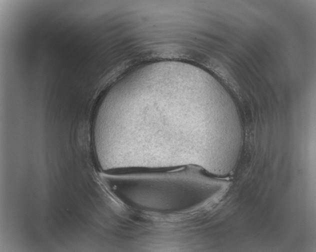 X0000069810397200606021510